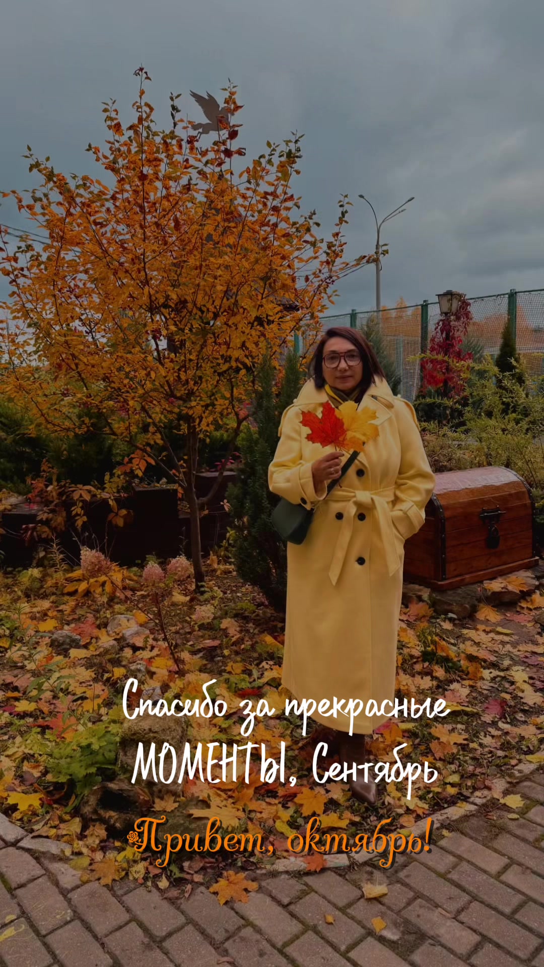 @Евгения Соколова