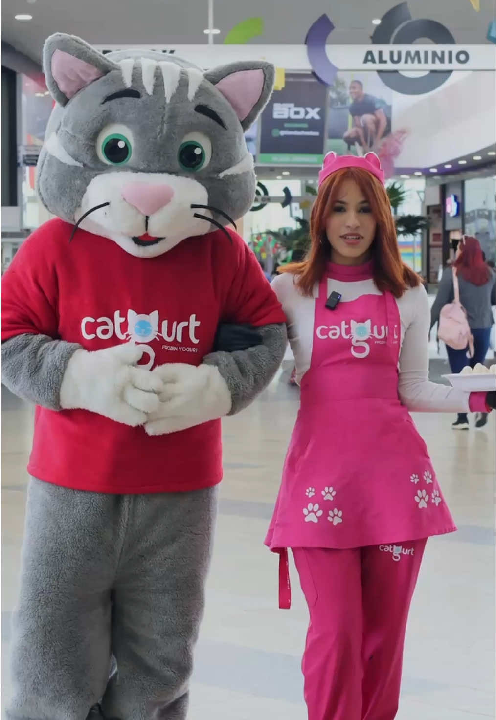 @Catgurt