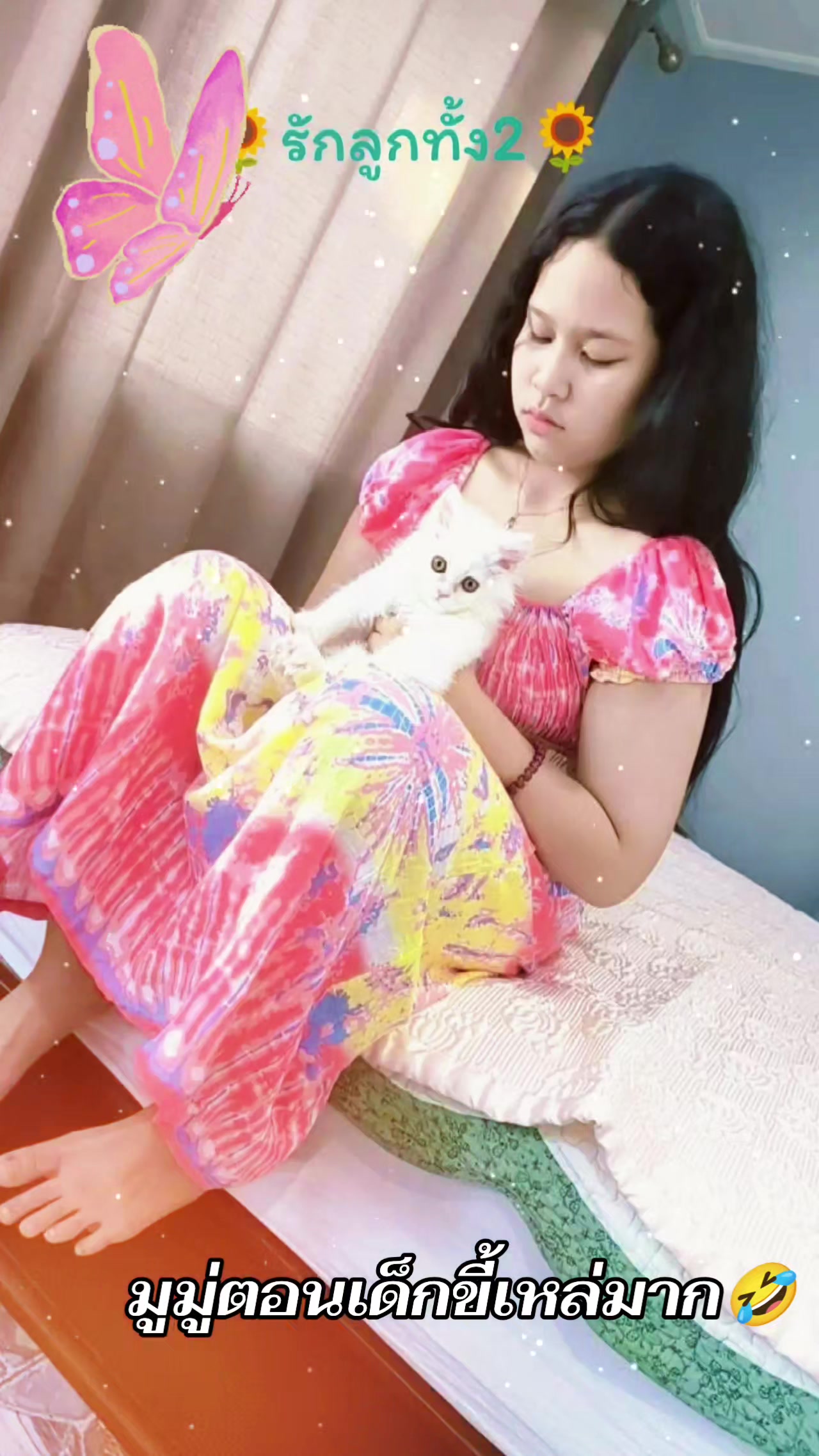 @🌻🐈🦁mumu 木木🦁🐈🌻