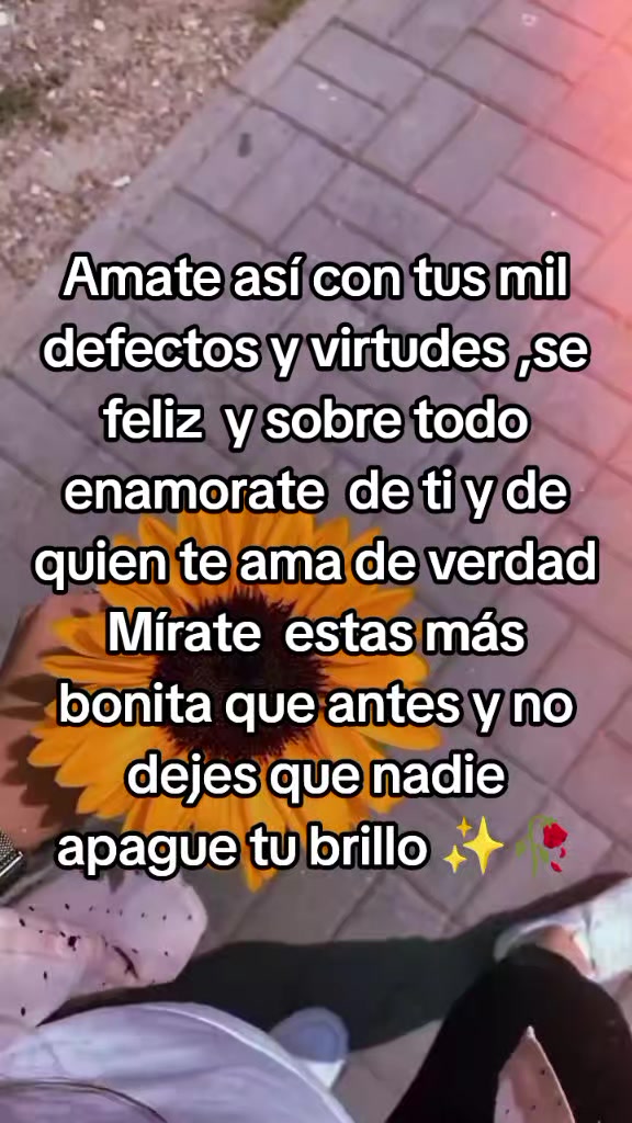 @Sonifer 🪷