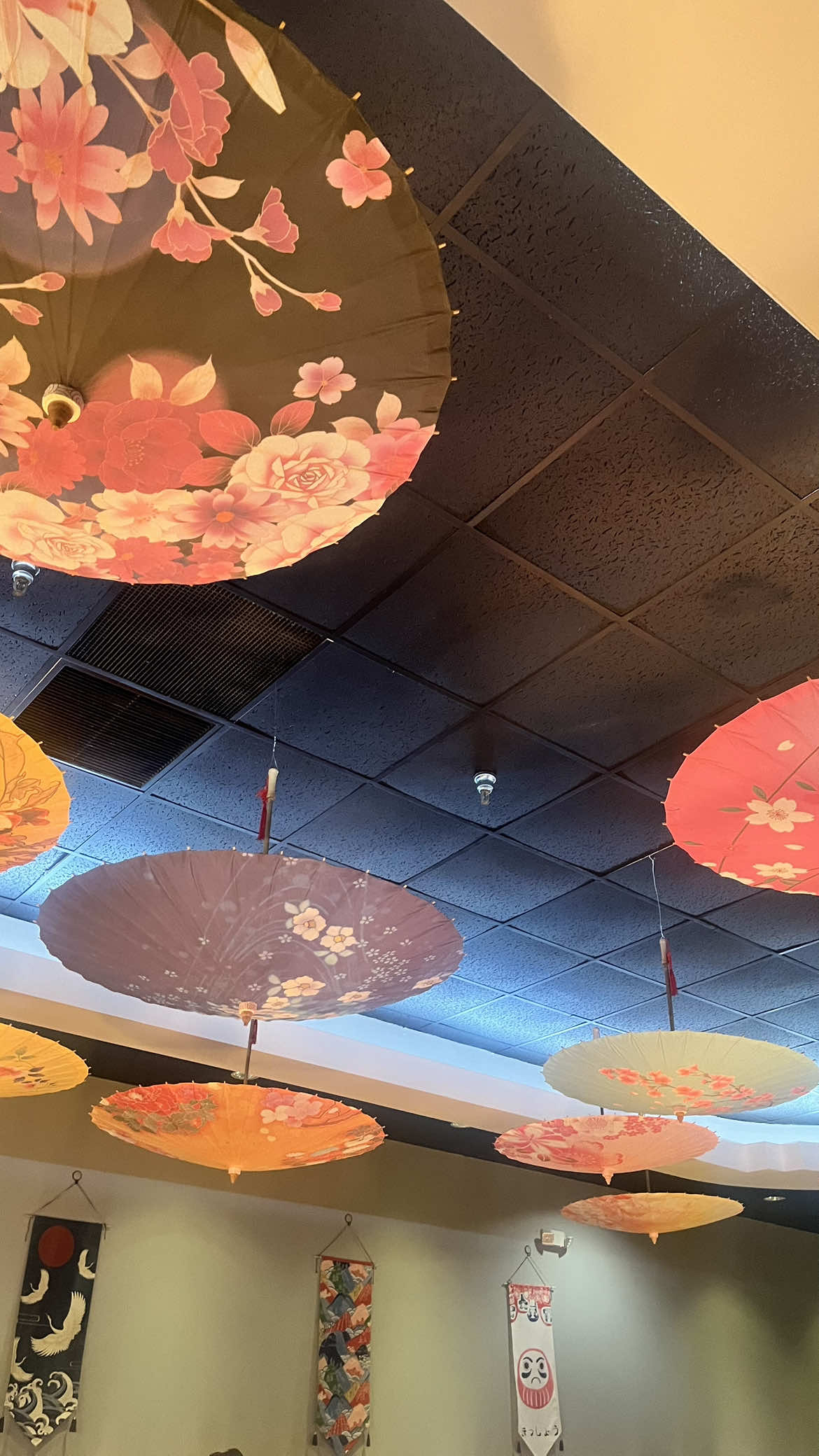 @𝓉𝒾𝒻𝒻 . ܁₊ 🪷