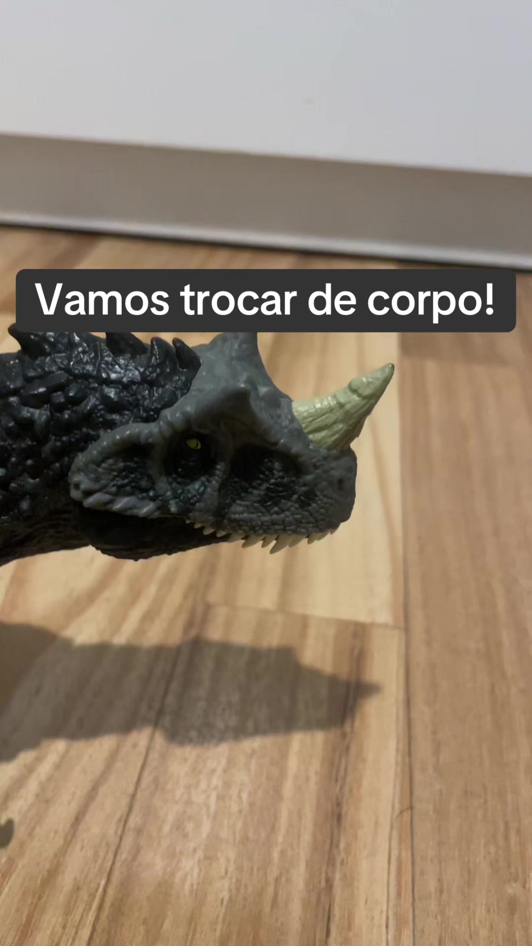 @Titanic e Dino