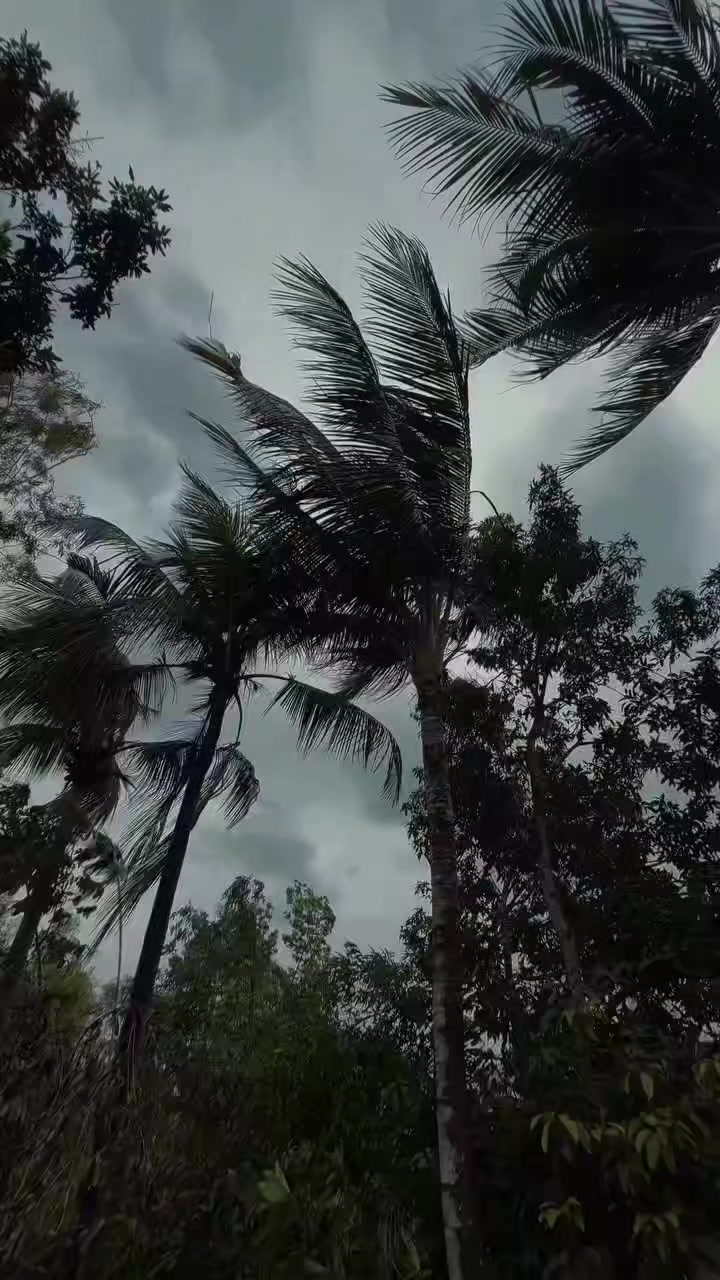 @Fimu😘