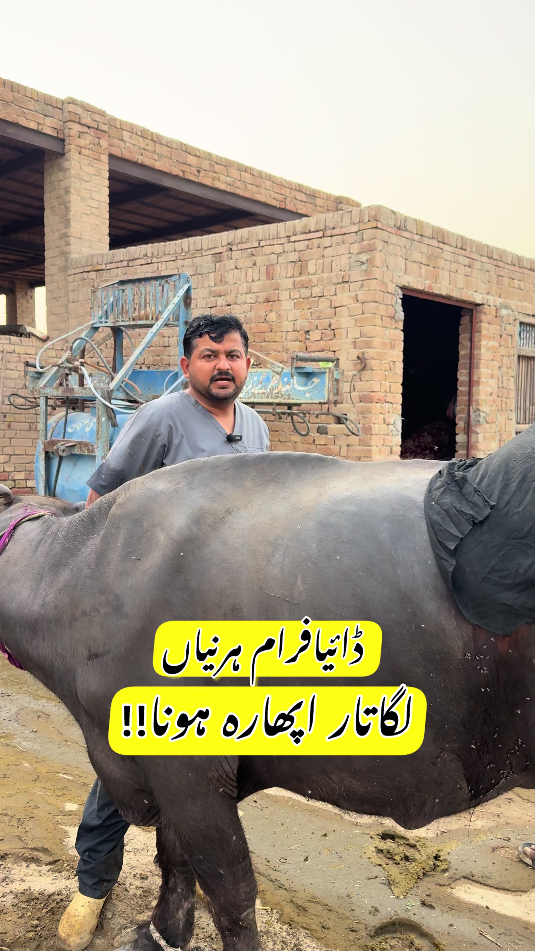 @Dr.Mohsin