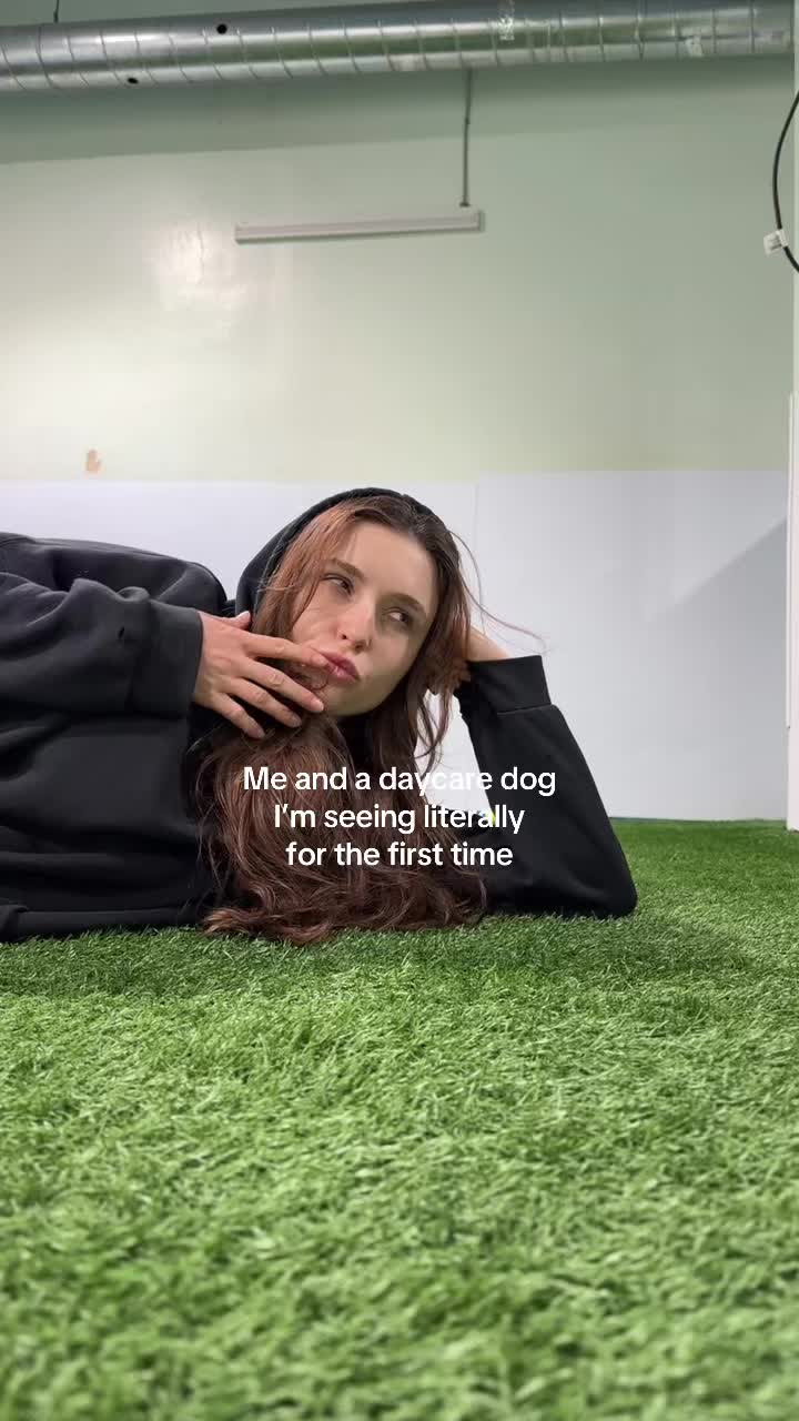 @Camp Canine