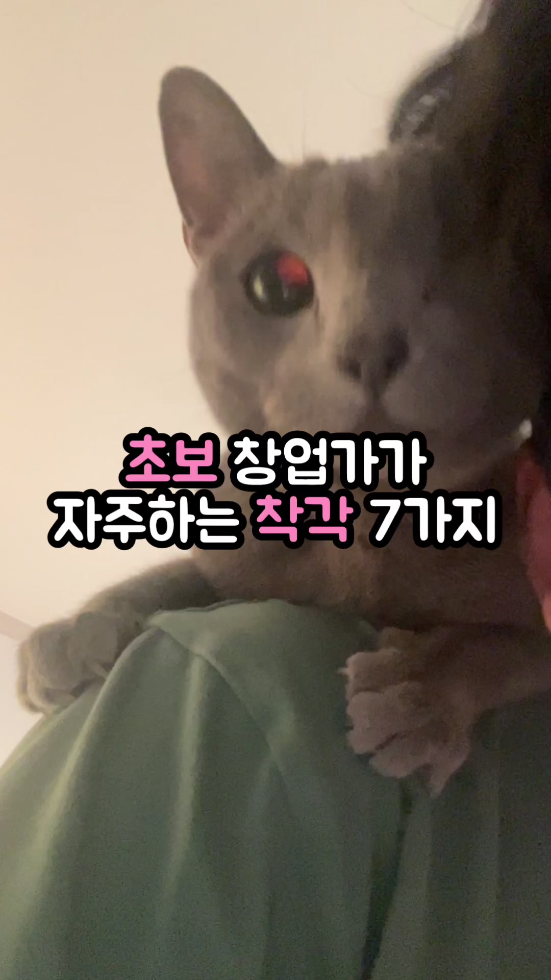 @자유 레코드