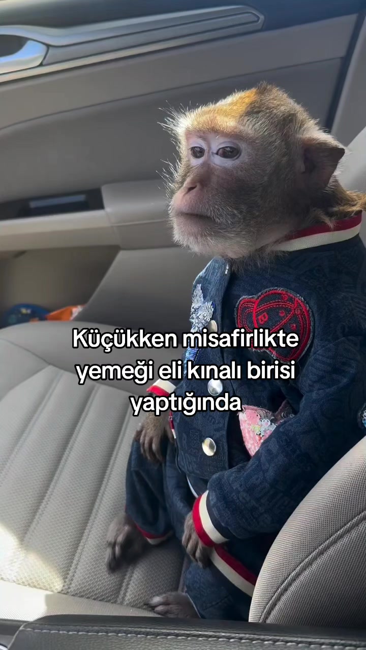 @rolland