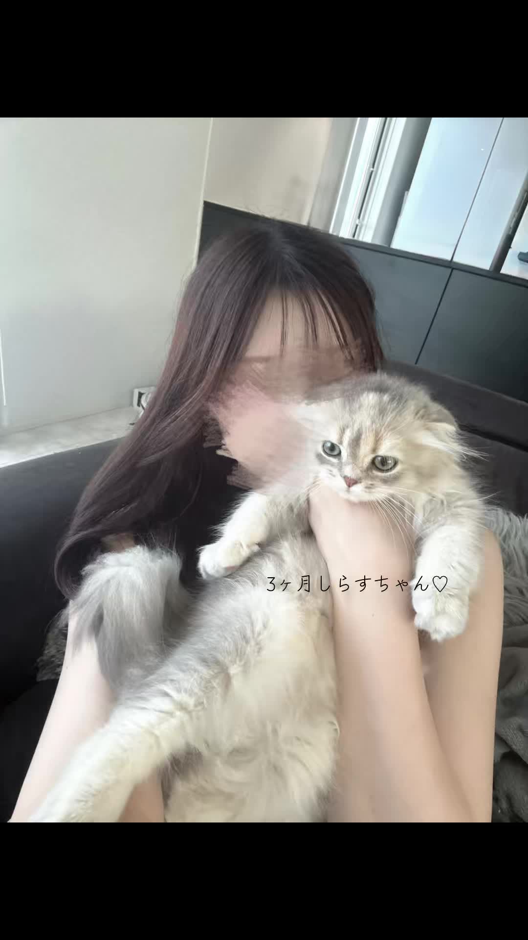 @うにくんとしらすちゃん