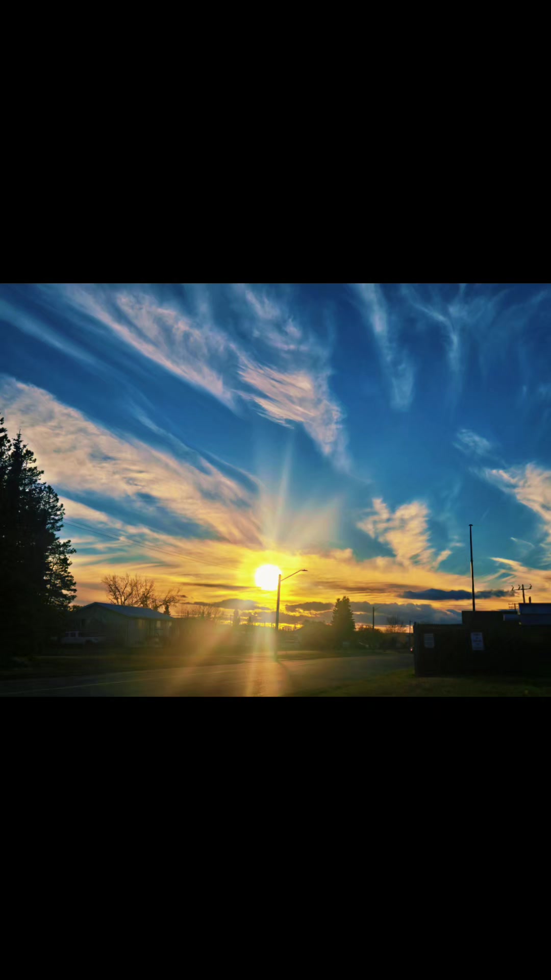 @Sunshine 73