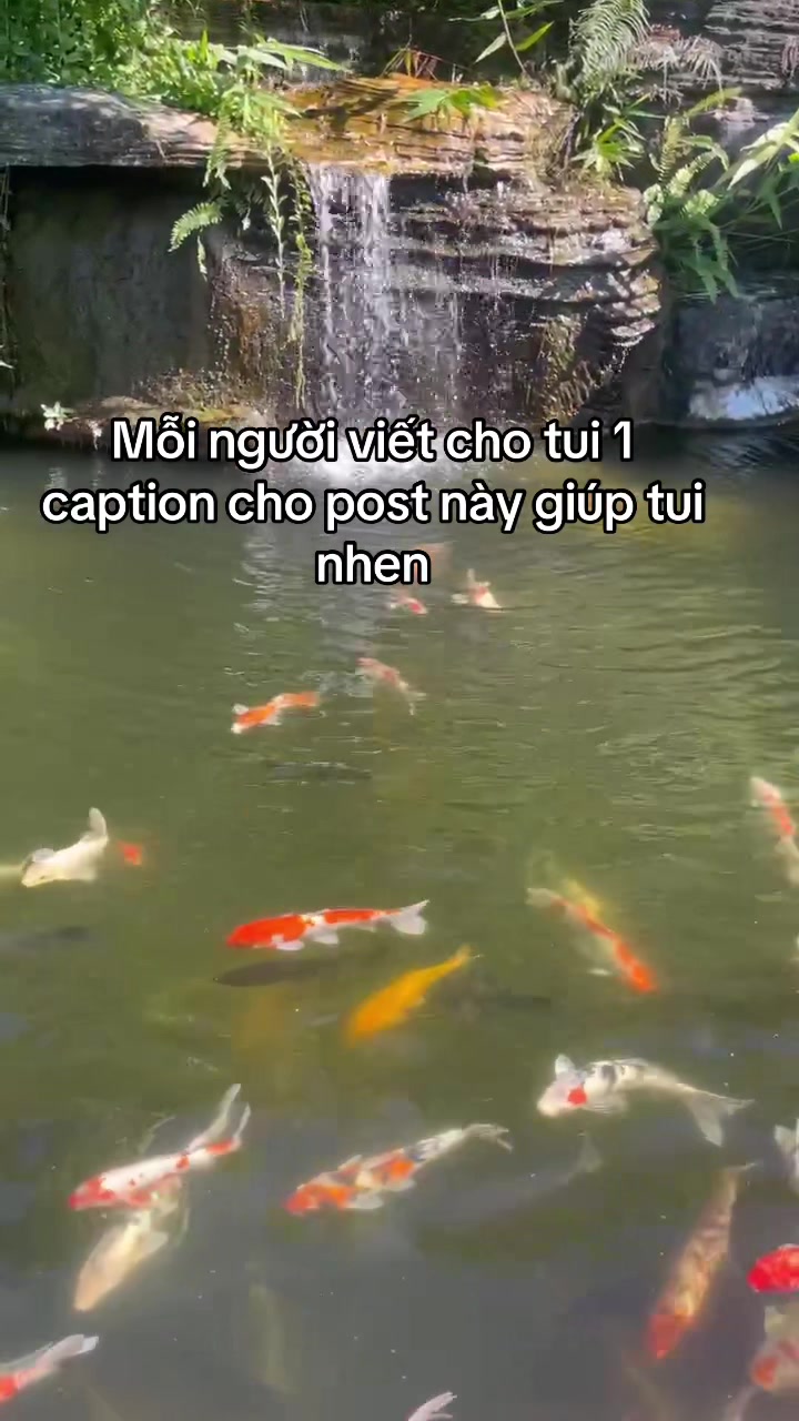 @Mquanhjhj