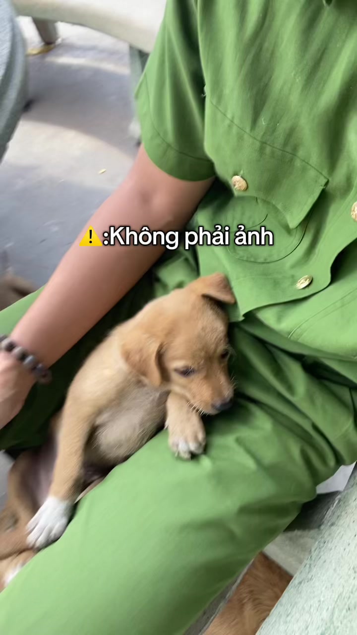 @Sỹ.Hiếu- Tân CN đi NV