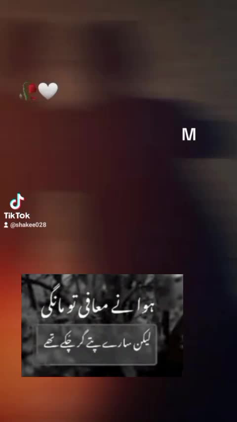 @Shakeel 56