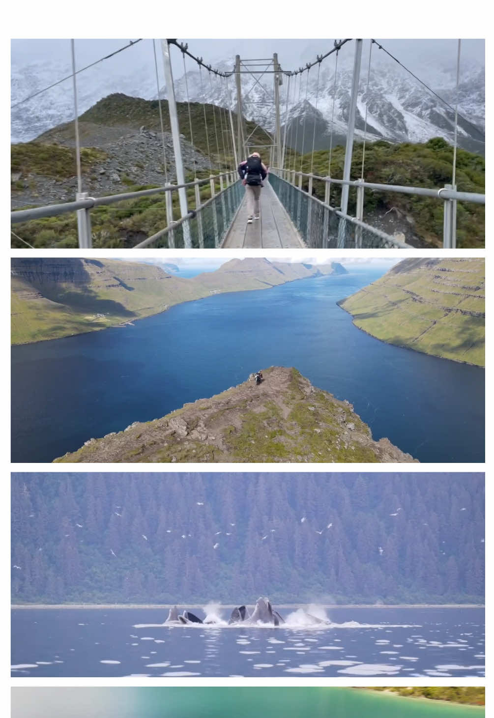 @Anesthesia4Adventure