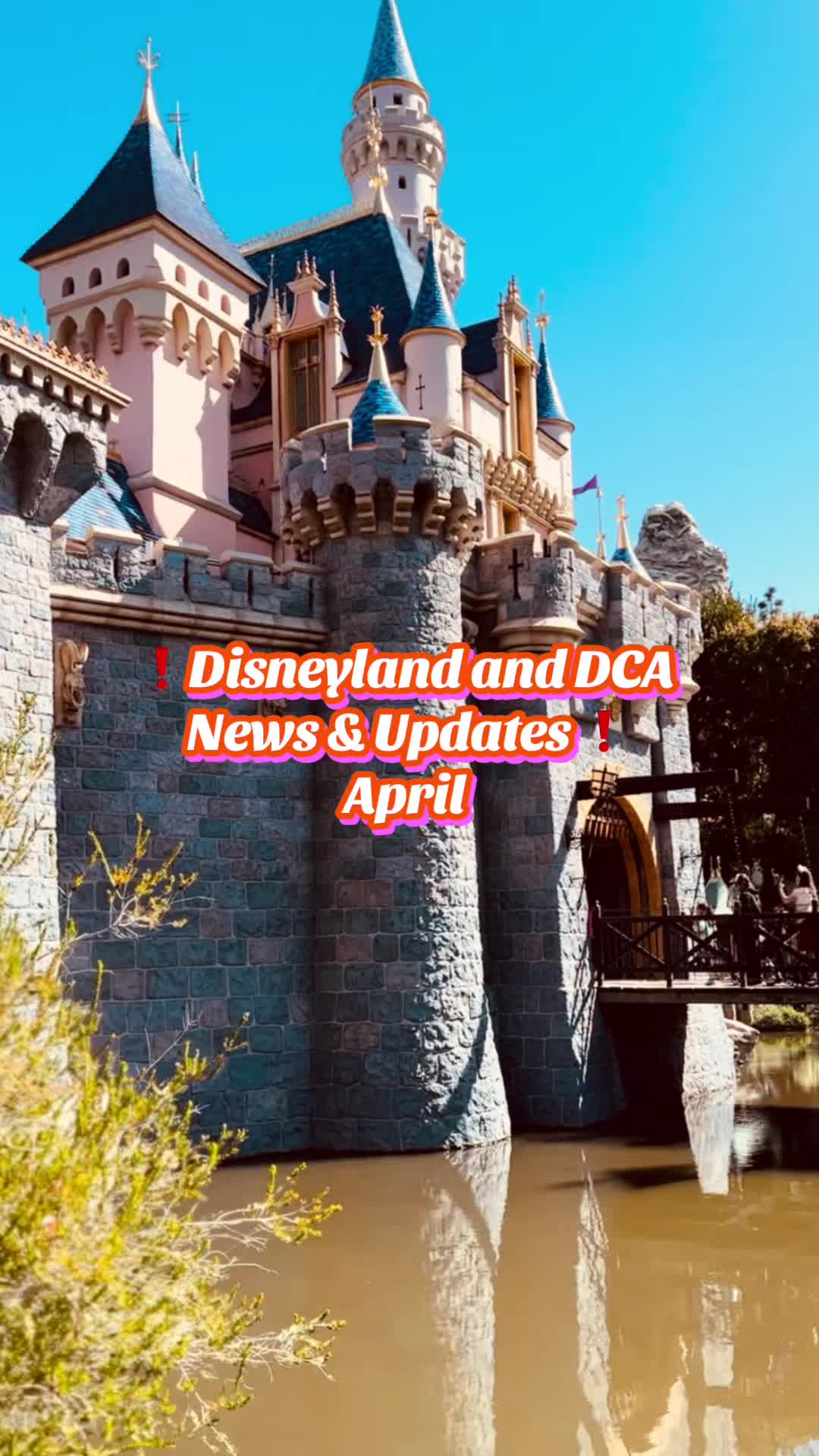 @ForeverDisney✨