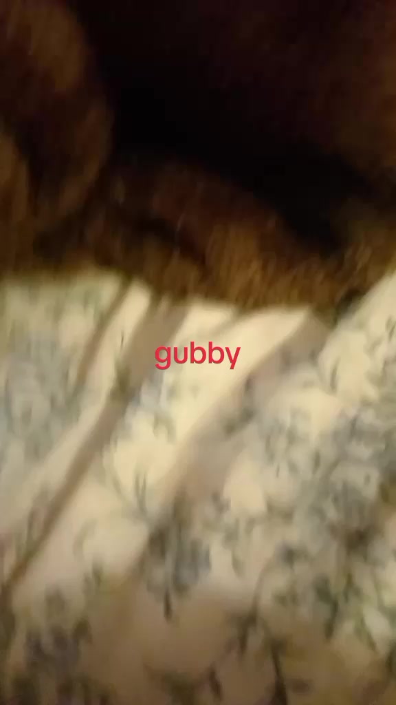 @🐶 ᵢ𝒹ₖ🦉🦅𝓜ᵢₘᵢ ᵥₑ