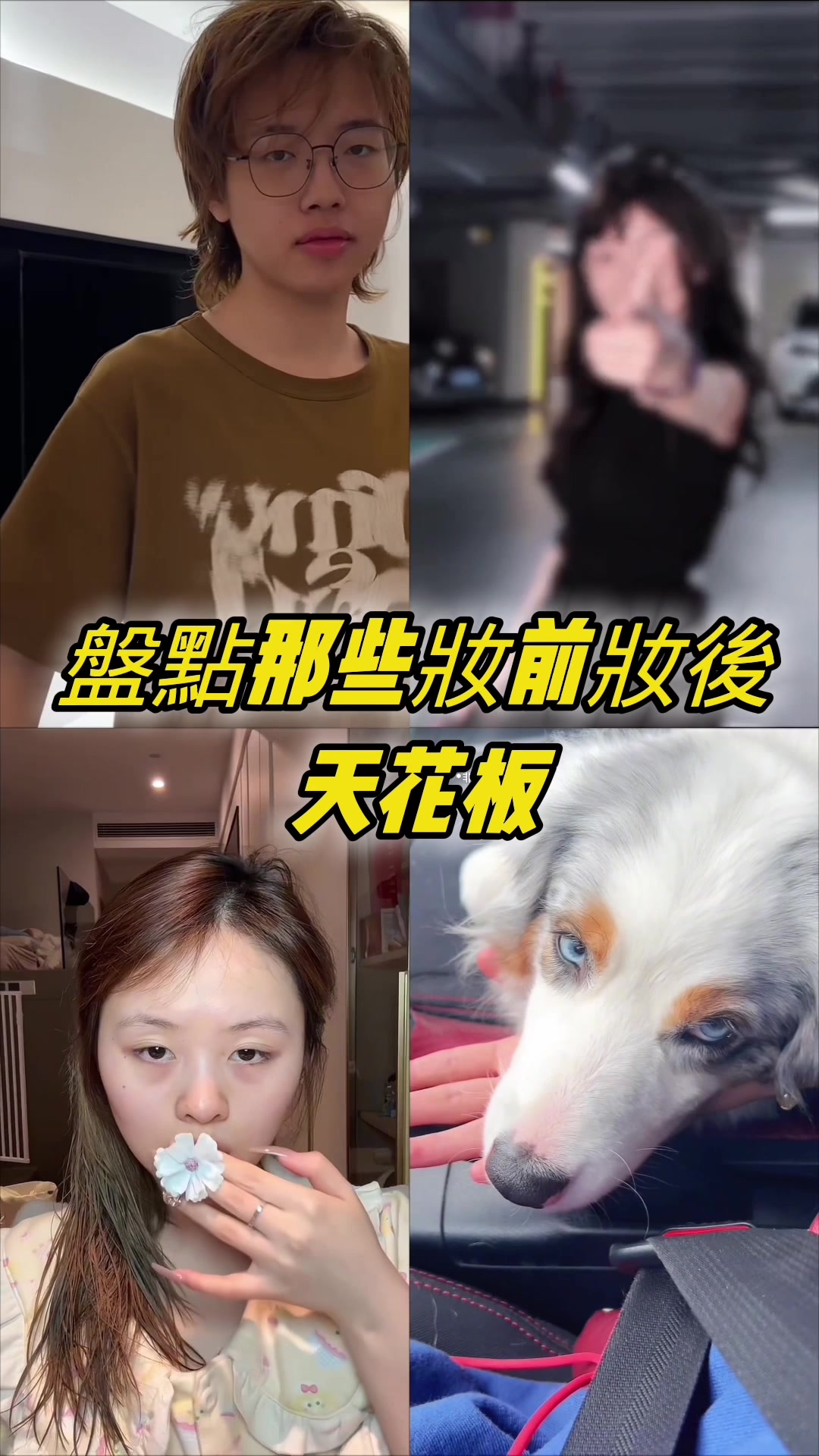 @聶禎