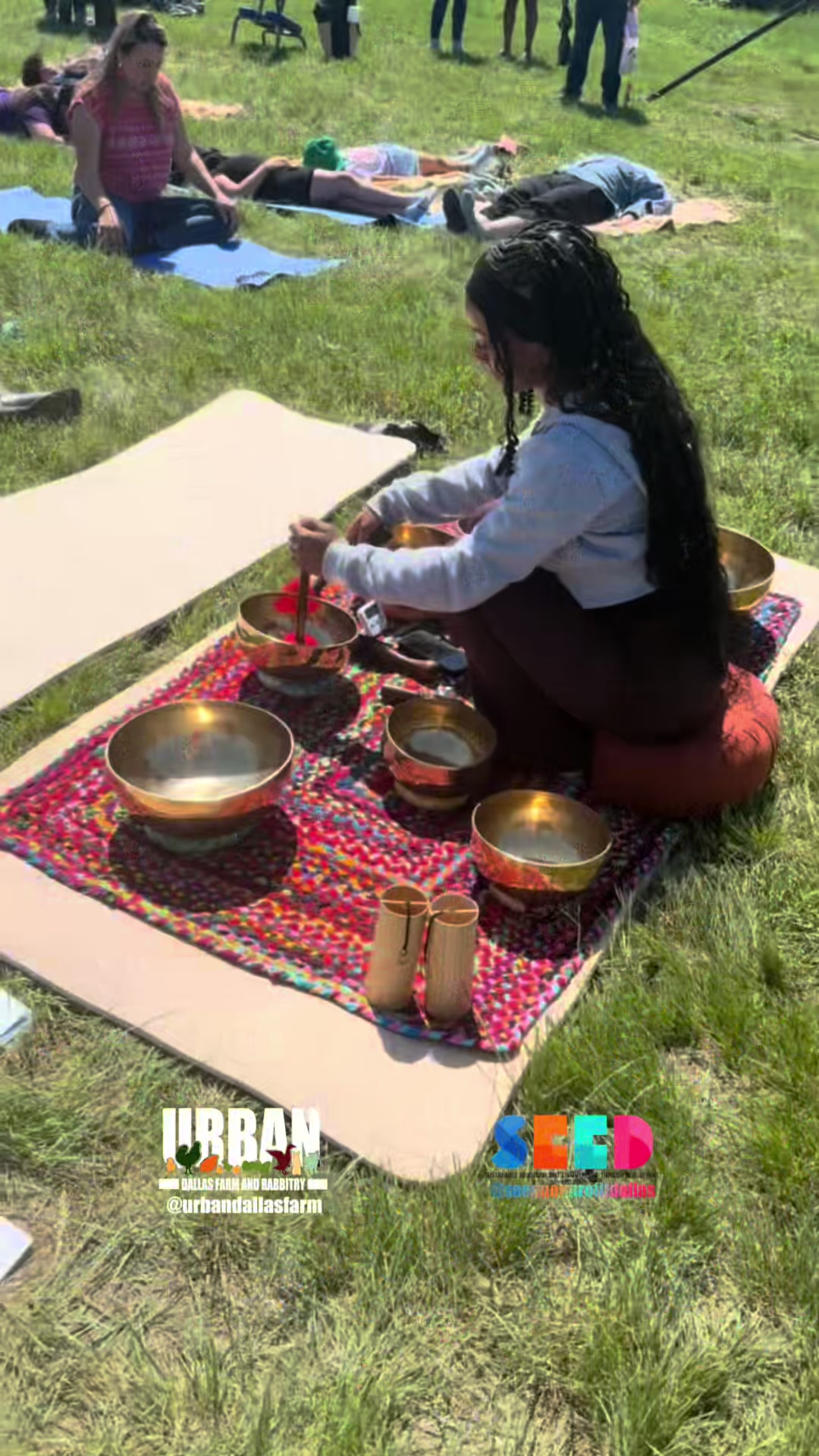 @Urban Dallas Farm