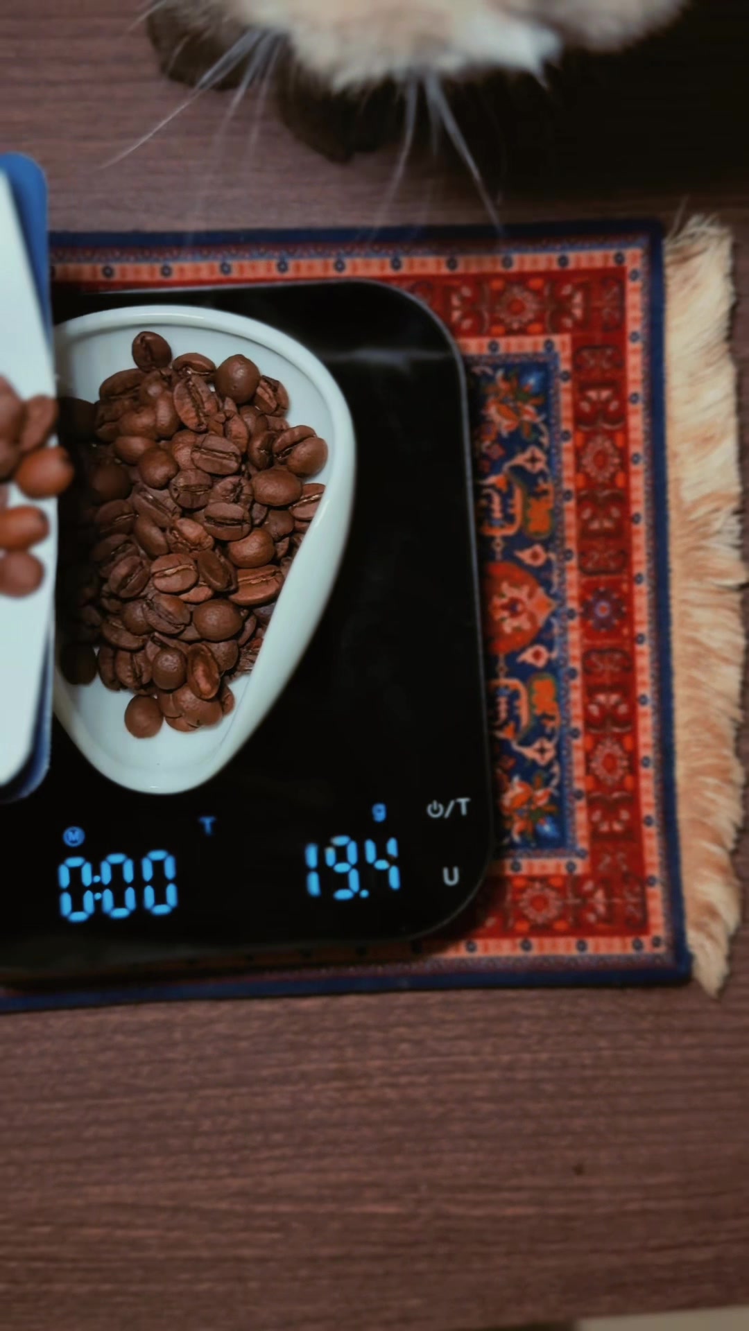 @نـوره | ١٩٩٤