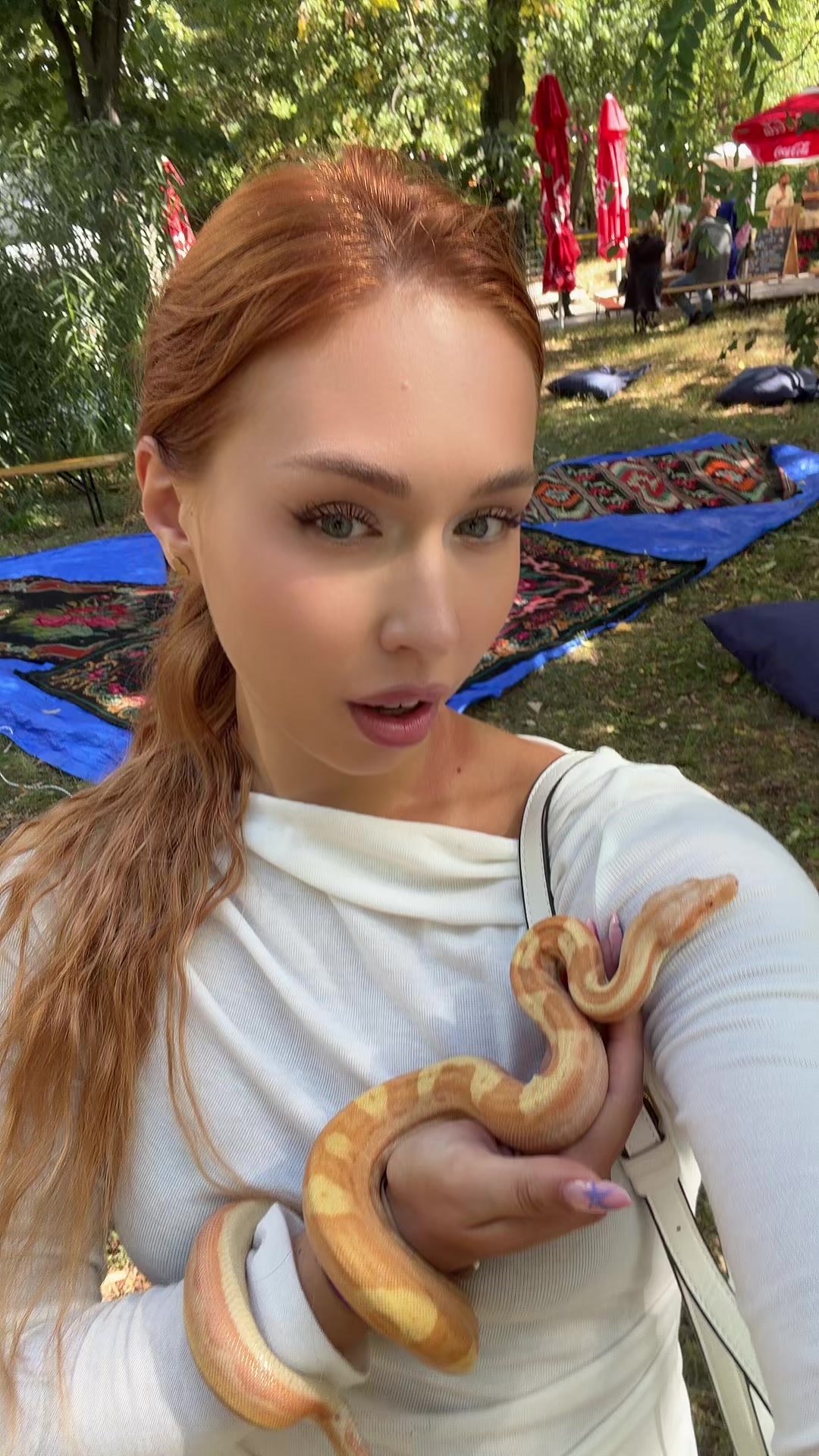 @Gonceatea
