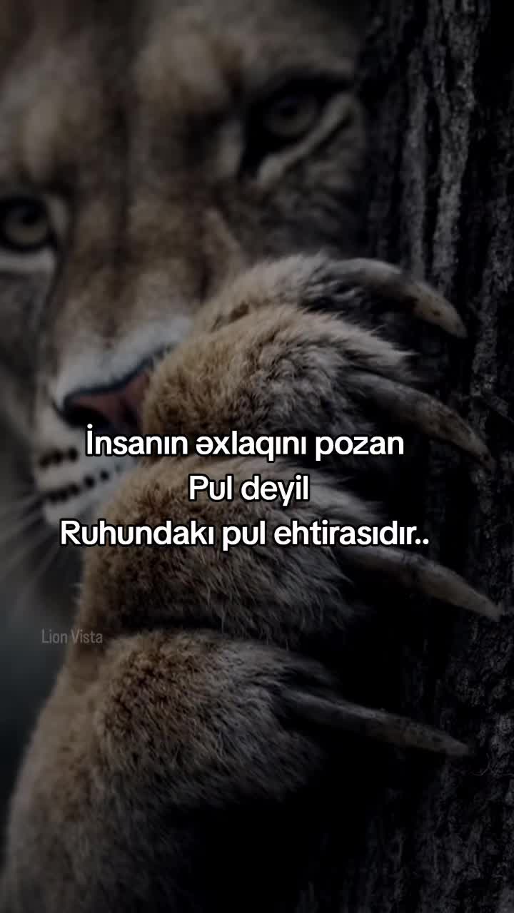 @Rəşad_Rəhimov