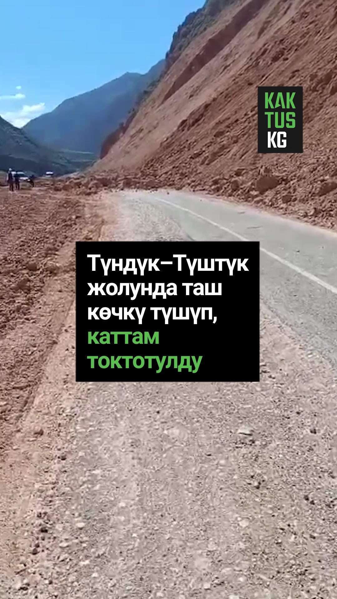 @Kaktus KG