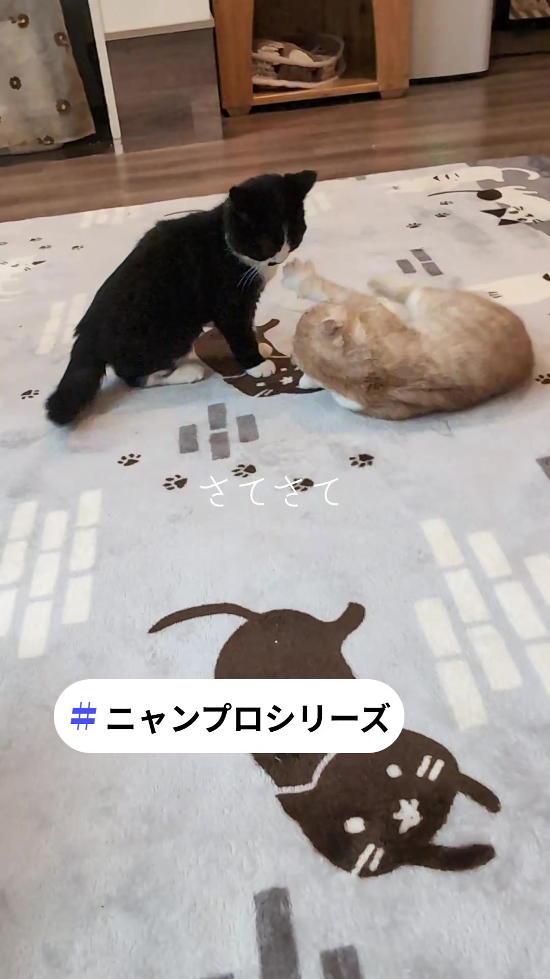 @りょうた