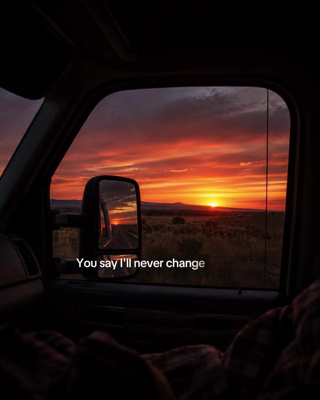 @Bird Words