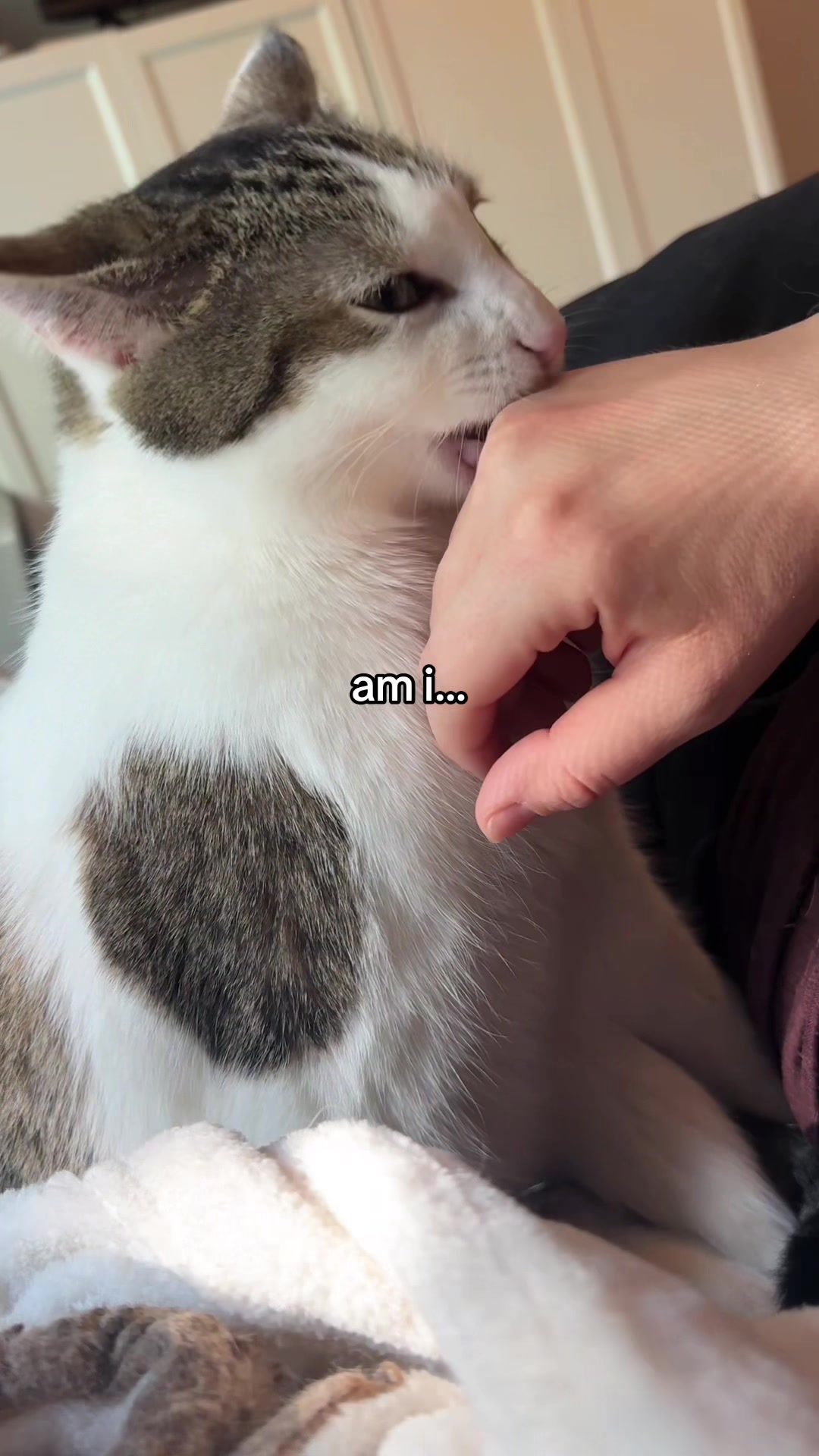 @Parcel the Paralyzed 😻