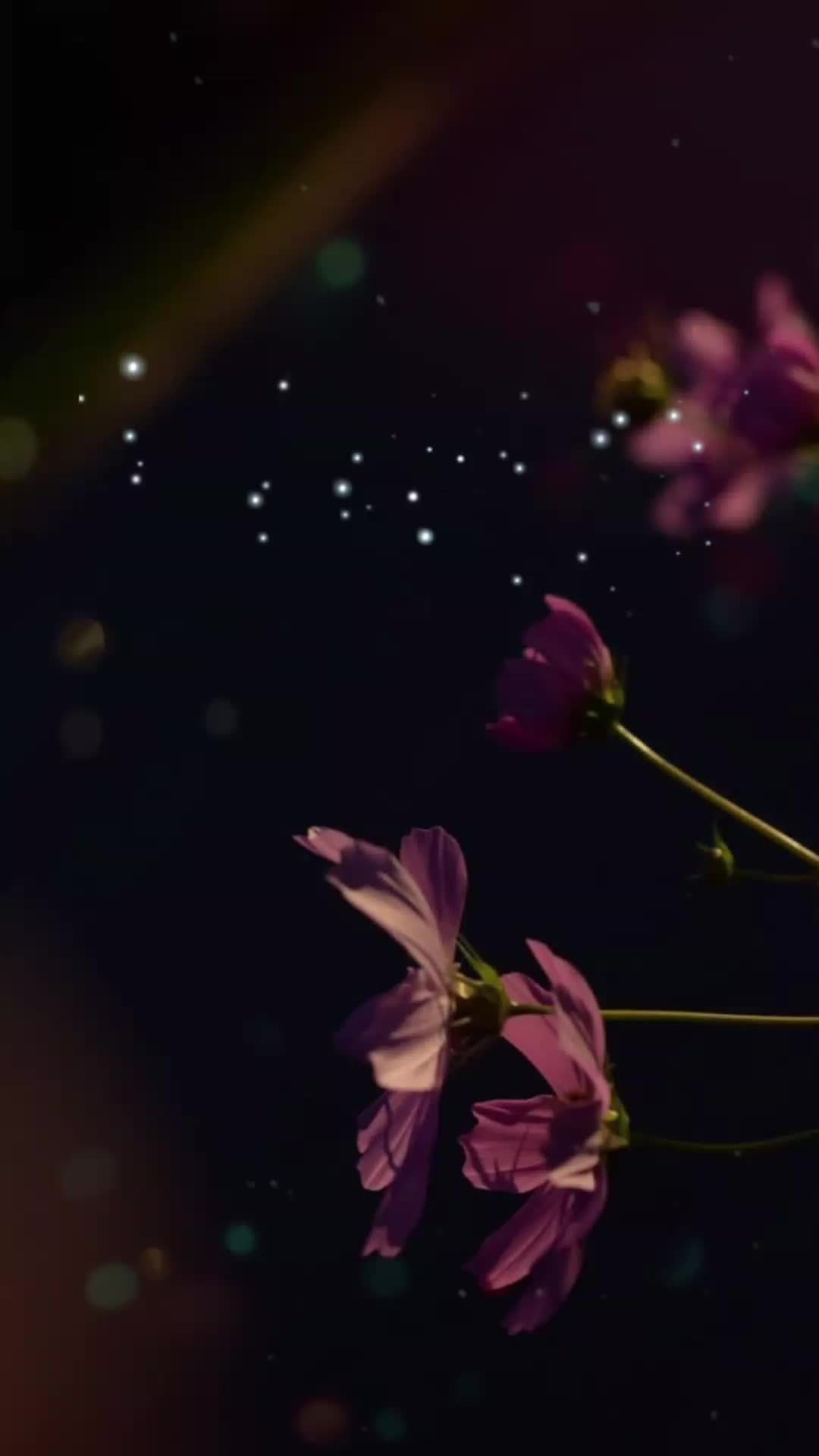 @AisyaRahman🌹