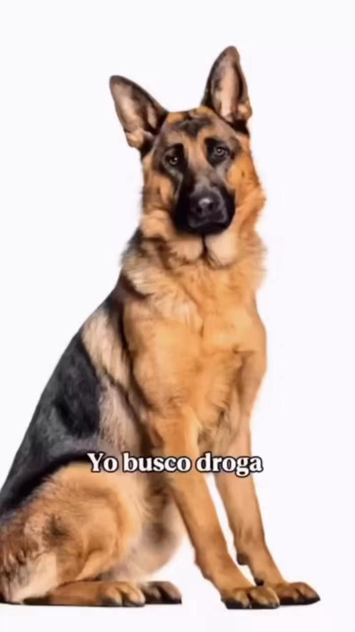 @Noe
