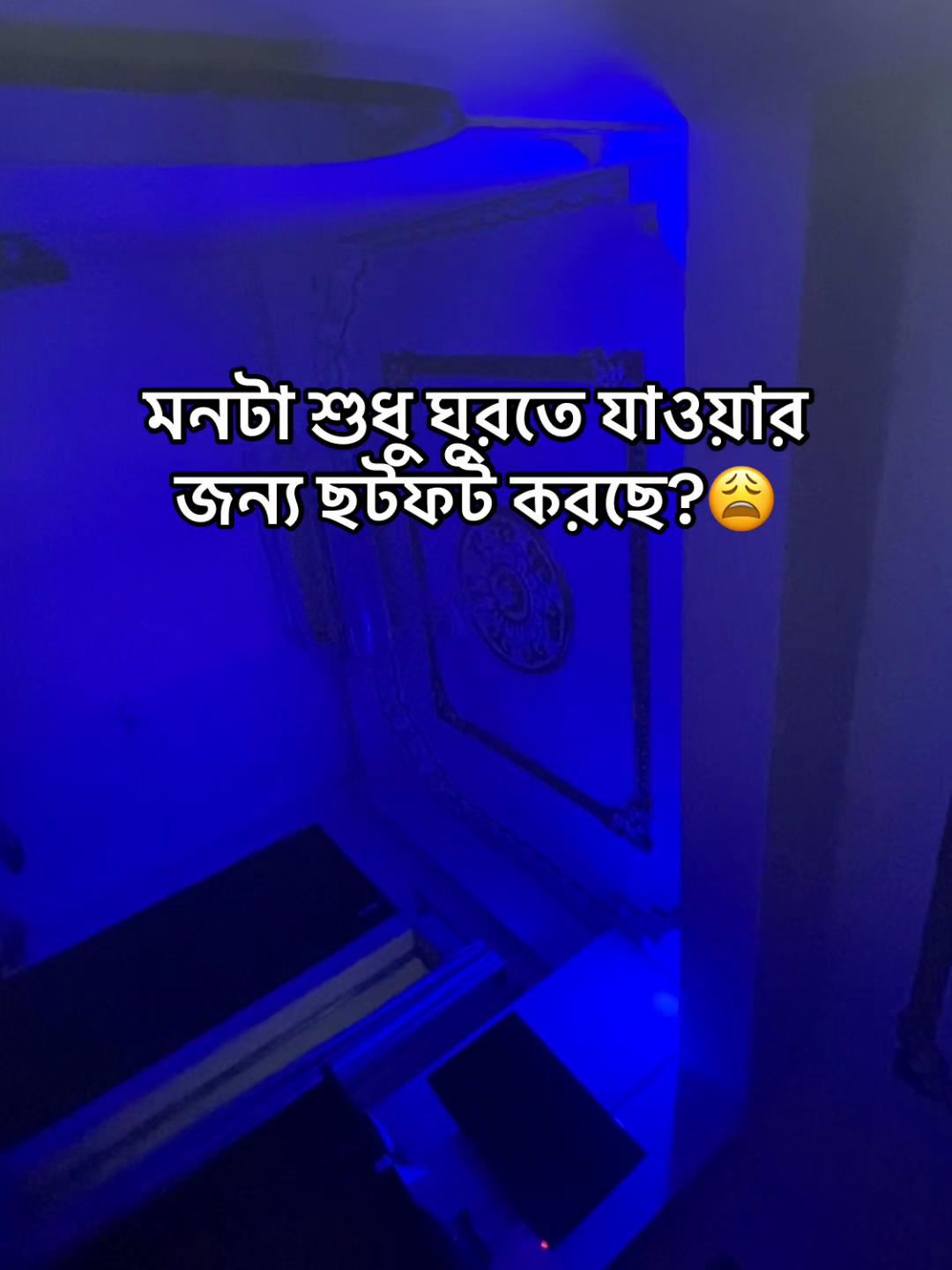 @Nila,Ahmed?đđī¸
