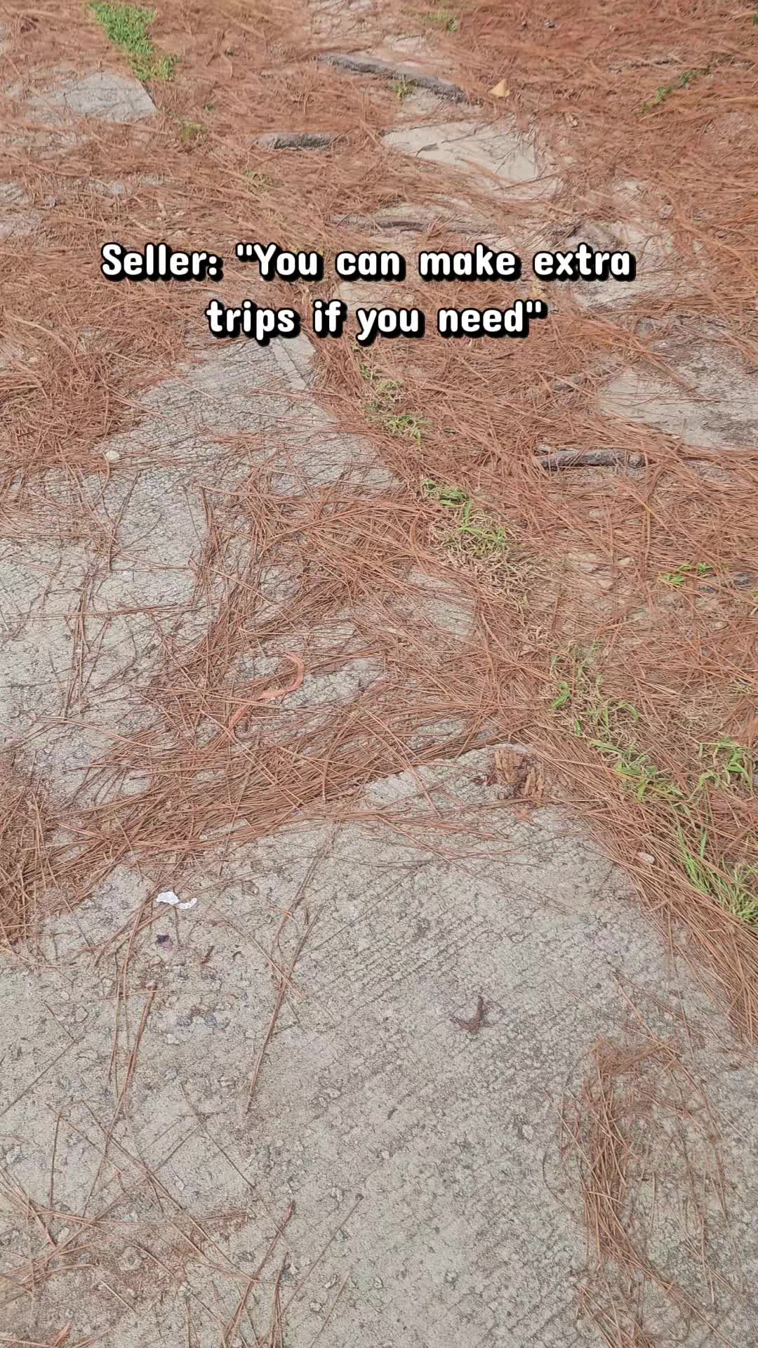 @Noiya