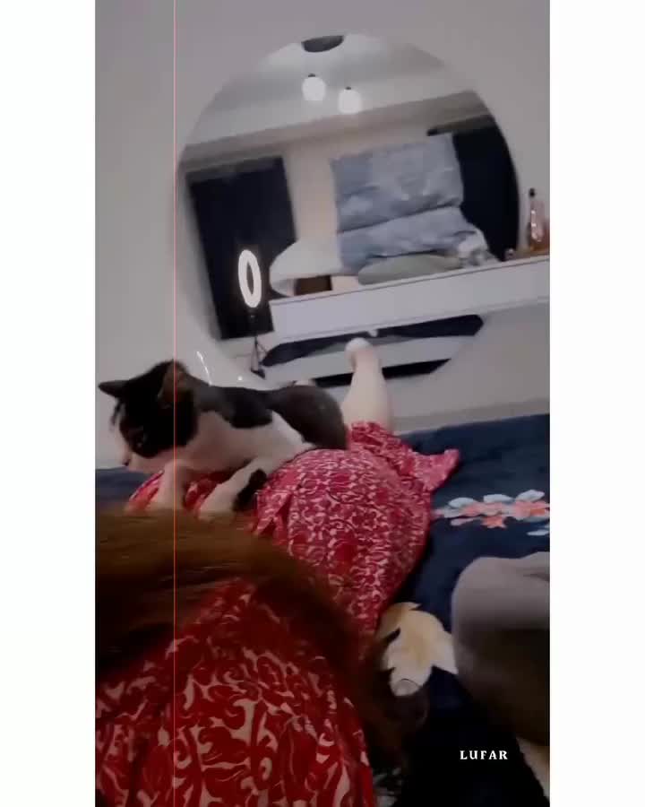 @🦅 تورہ جینئ🦅