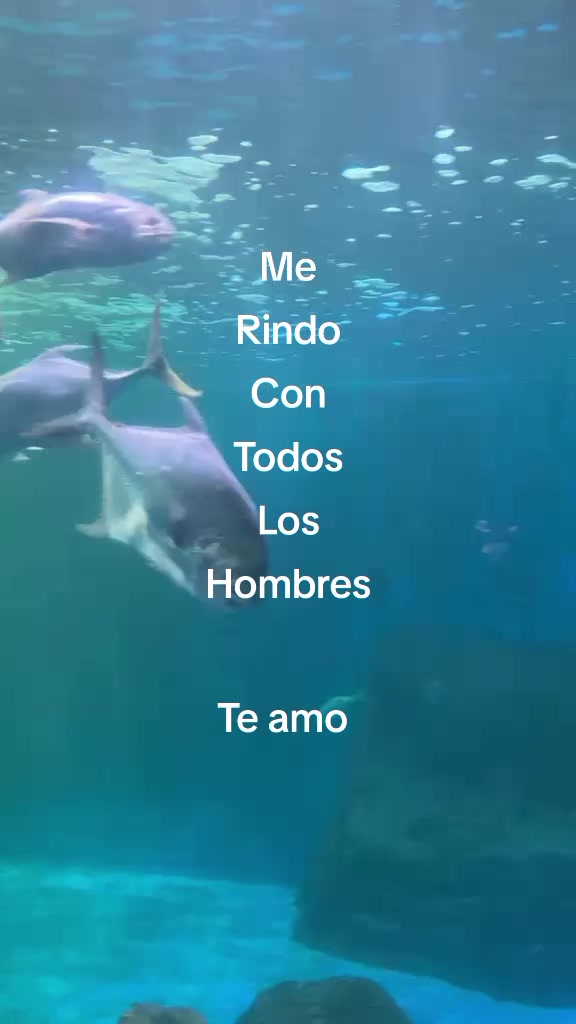 @cami