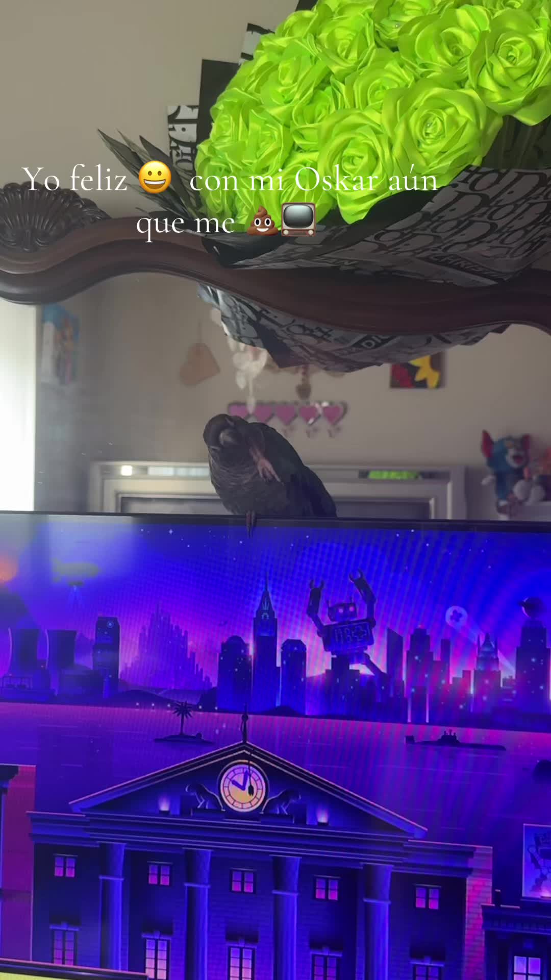 @La lind@ 504🇭🇳😈🦜
