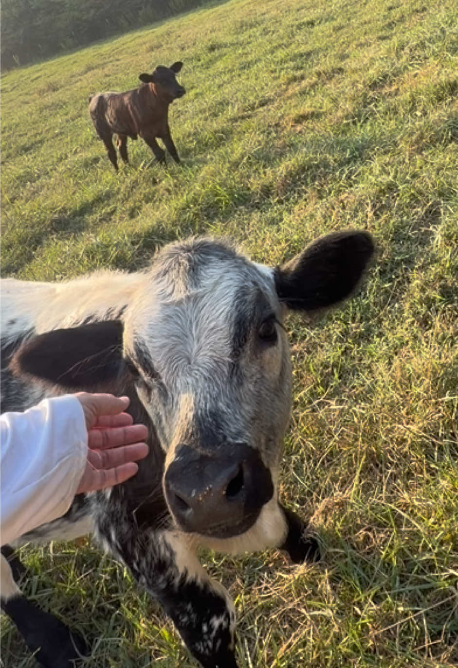 @Georgia Farm Girl