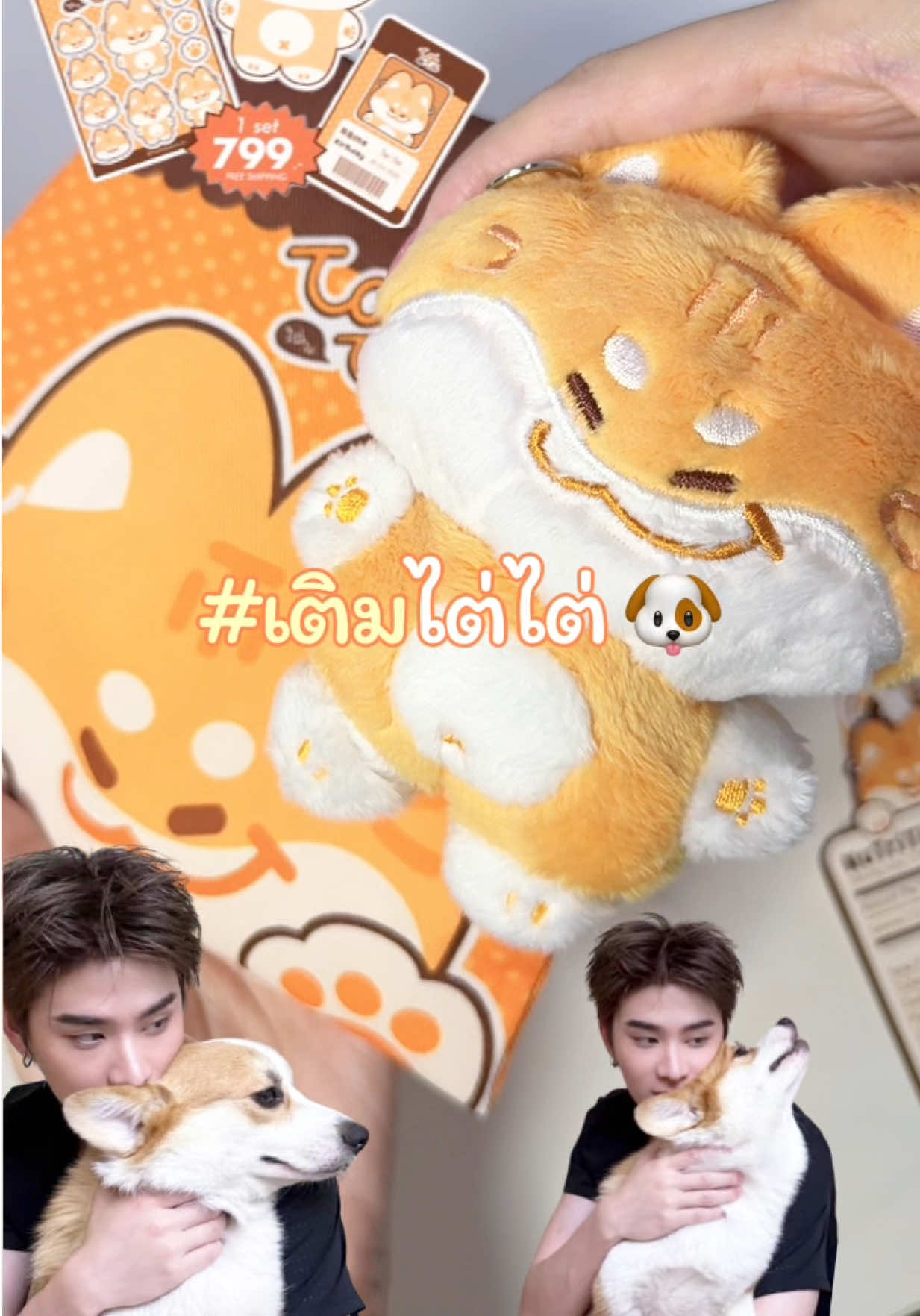 @หย๋าน้อย 𓍢ִ໋🐈&zwj;⬛ . ݁ ⟡ ݁