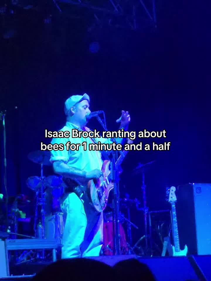 @Modest Mouse Archive