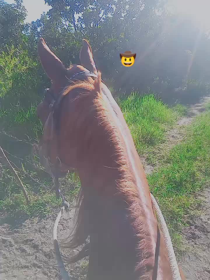 @Juan Anzola 🤠