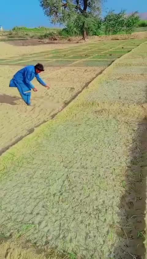 @Lachhman Kumar