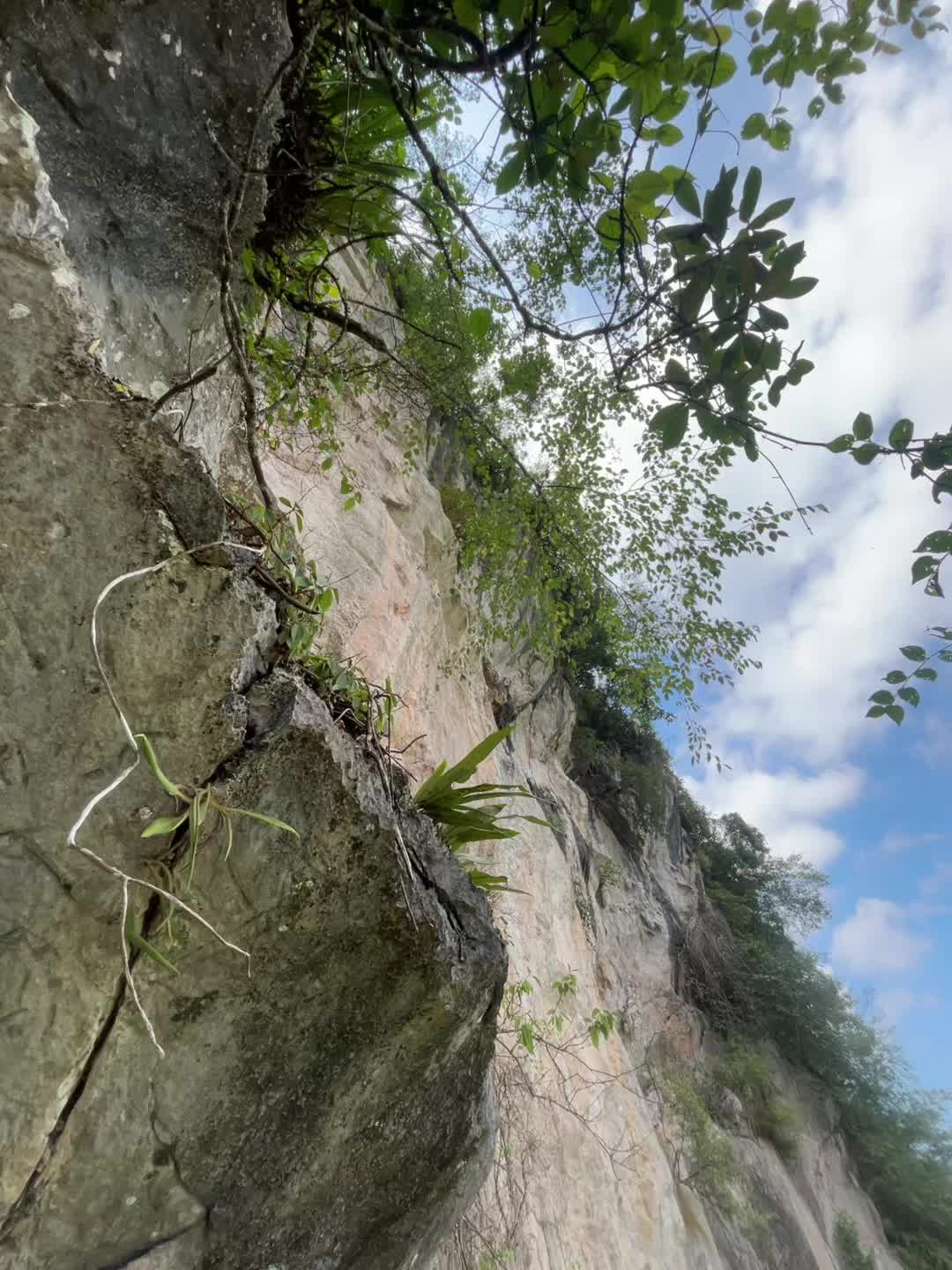 @L&Iacute;U  🇻🇳☣️