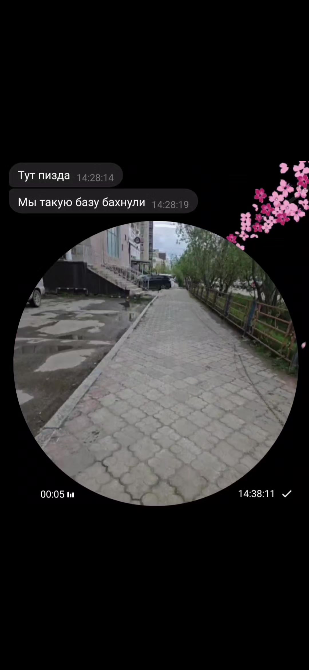 @qoukaaa
