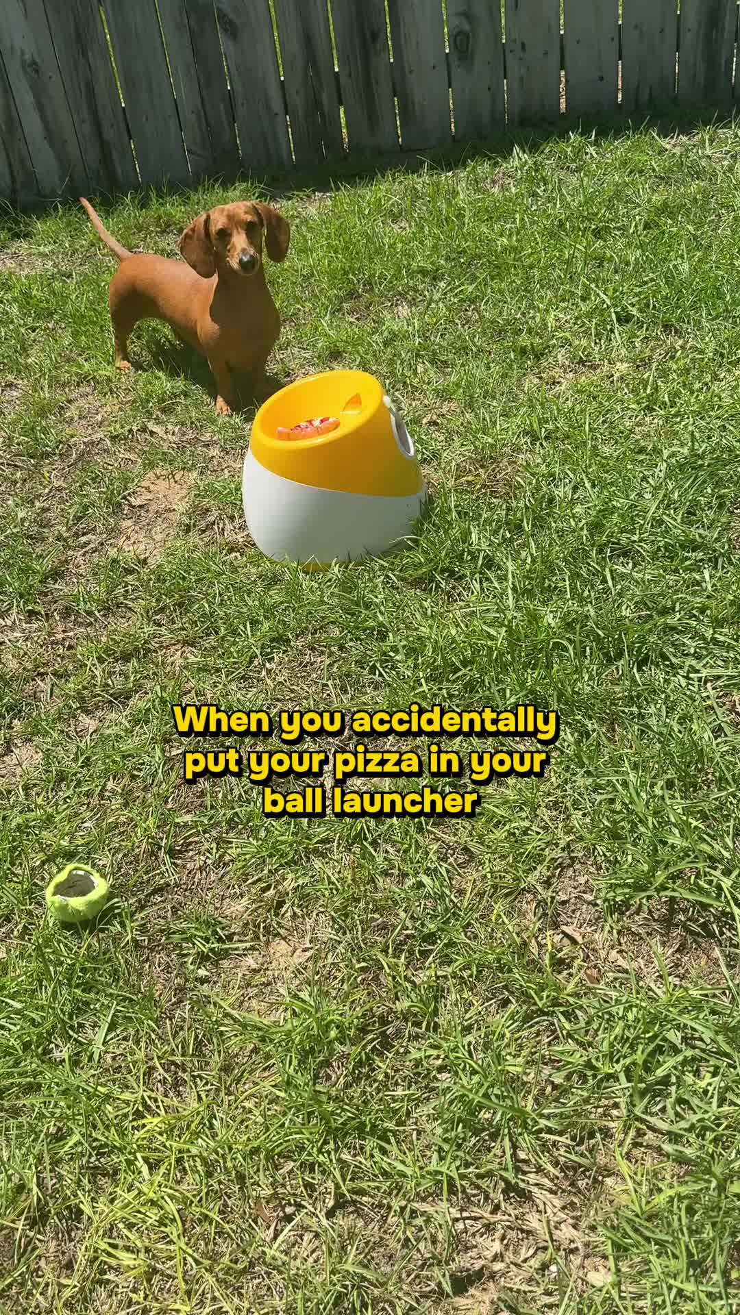 @Hazel & Heidi