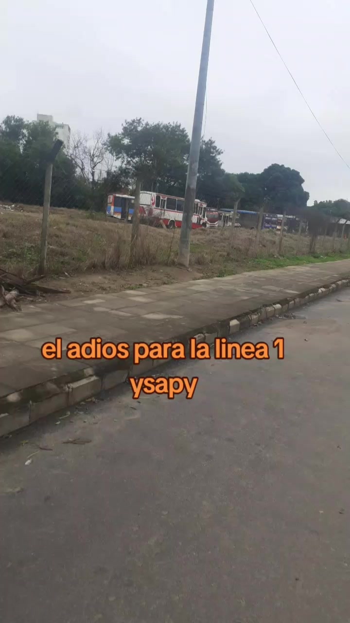 @💯PEDRITO BUSES 🔥 🇵🇾