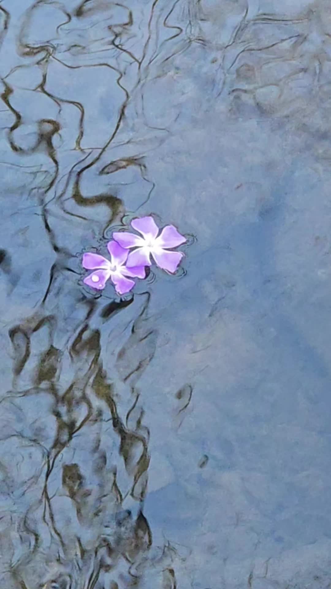 @🖤🌵✨️🌕Christina🌒✨️🌵🖤