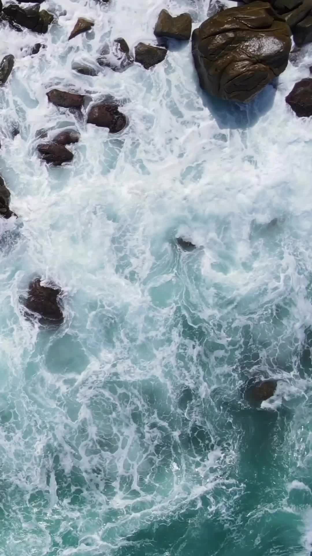 @chrissyonthetok