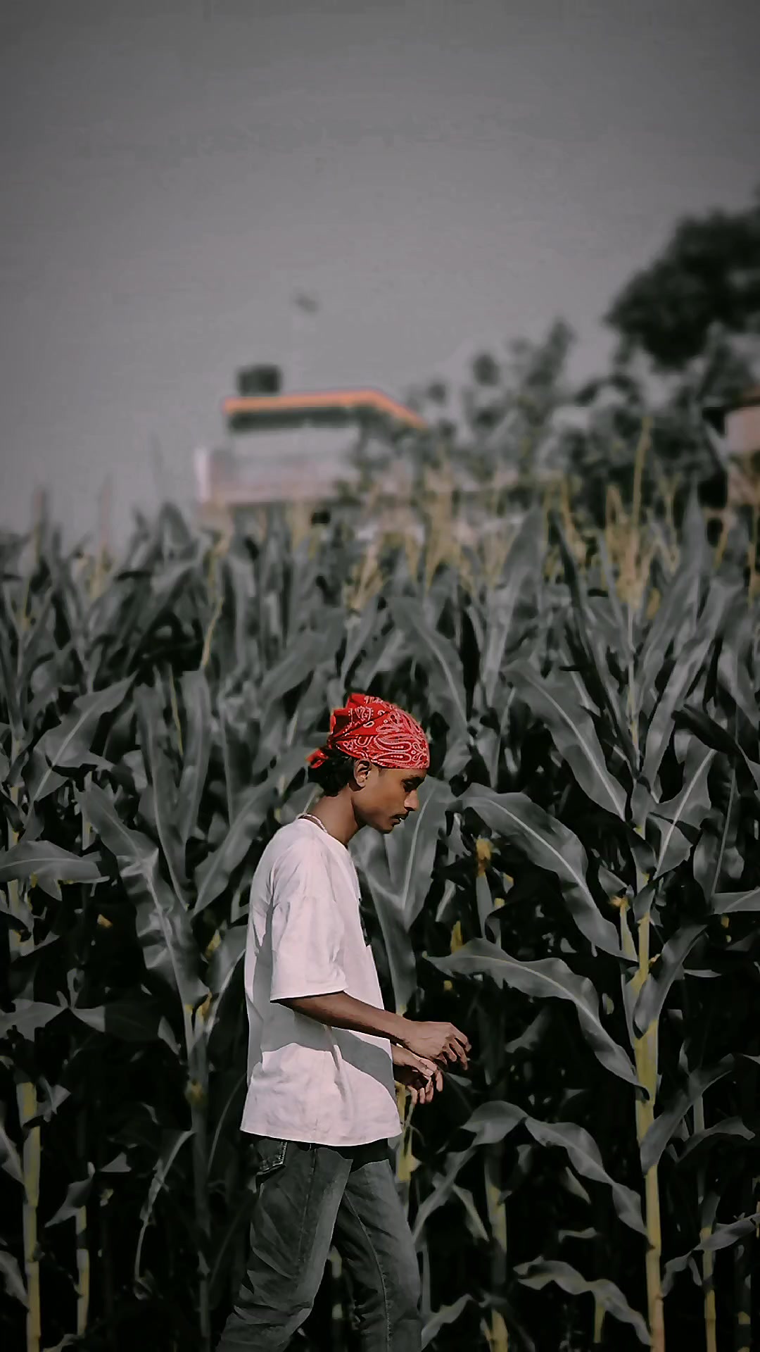 @𝙈𝙧. 𝙍𝙤𝙮𝙖𝙡 𝙧𝙖𝙟𝙖⁰⁷