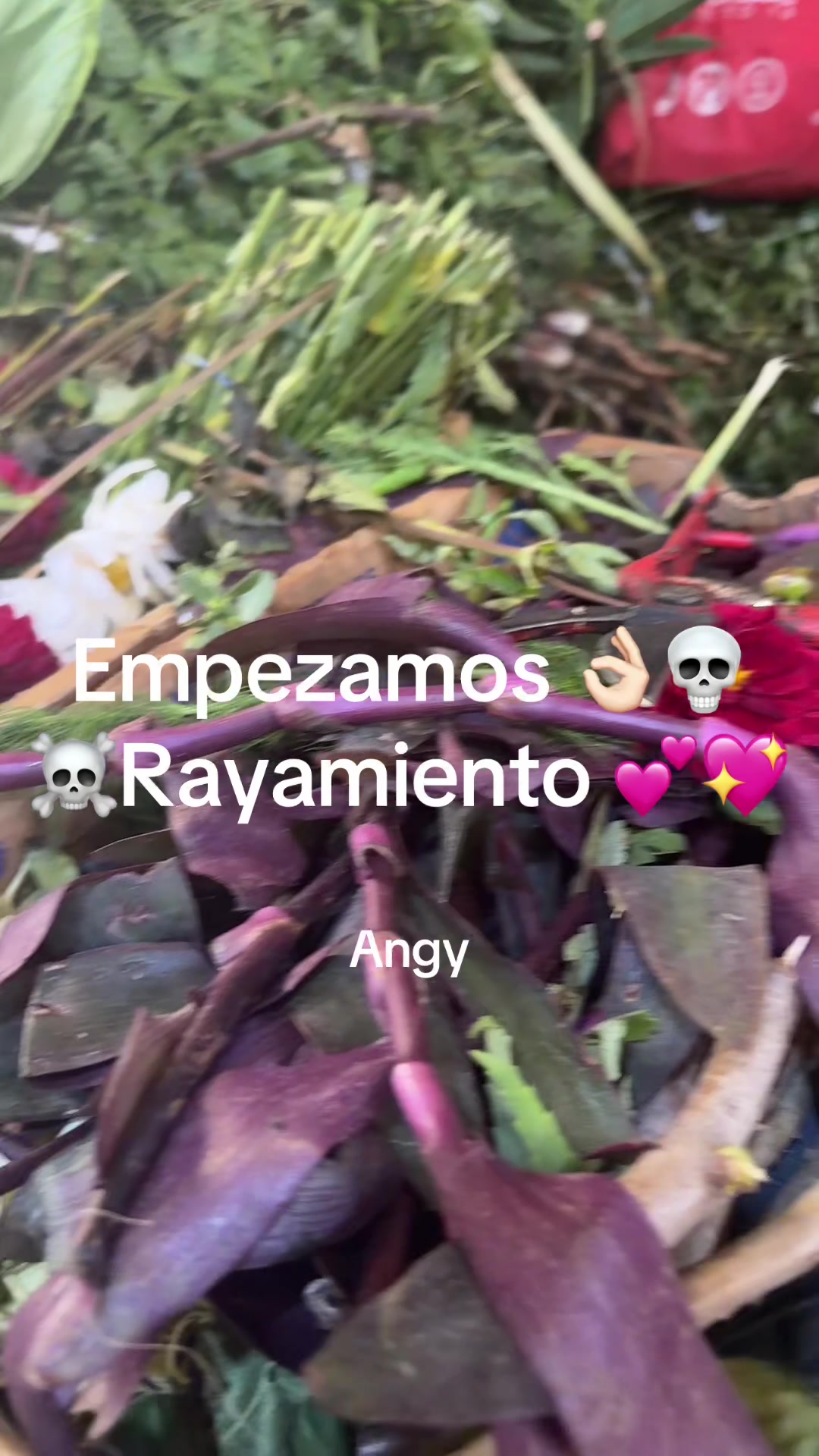 @😇💕❤️💕