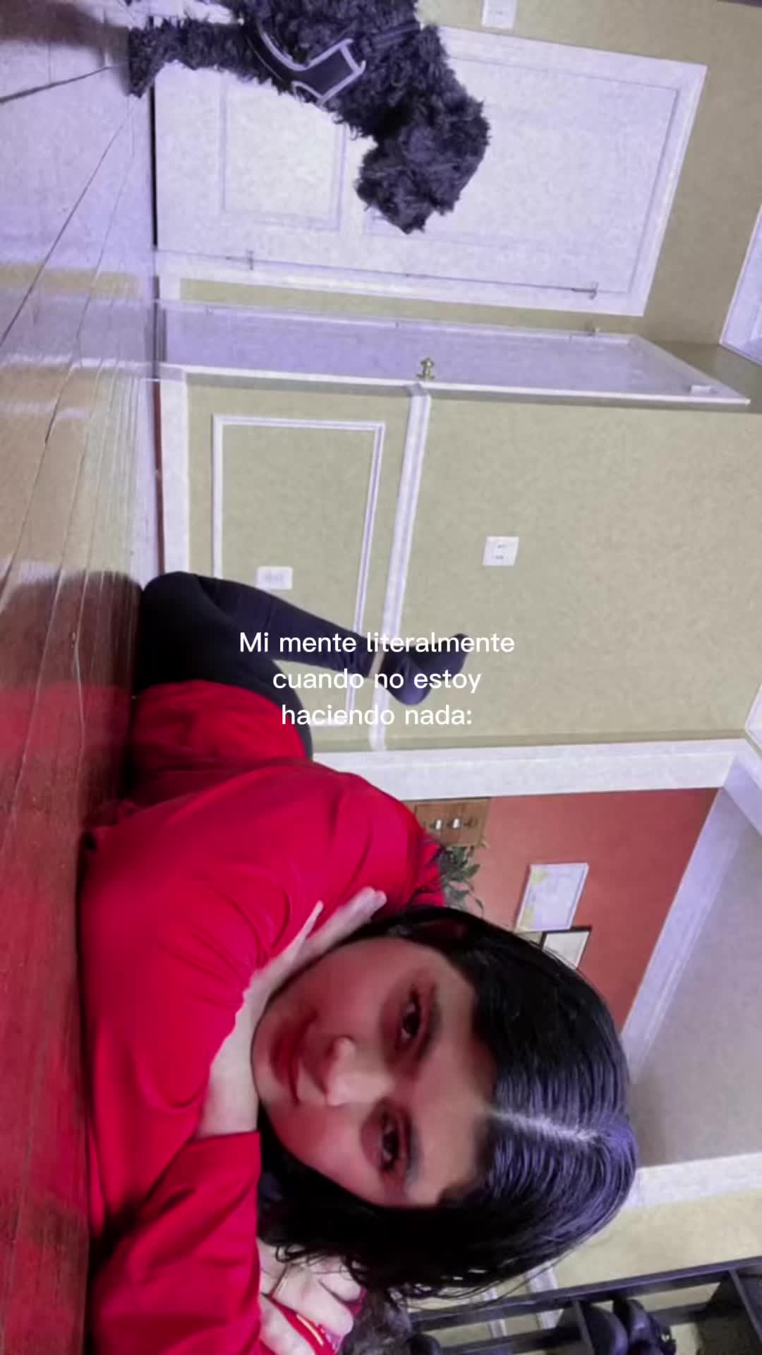 @Luna ✨💖🌙