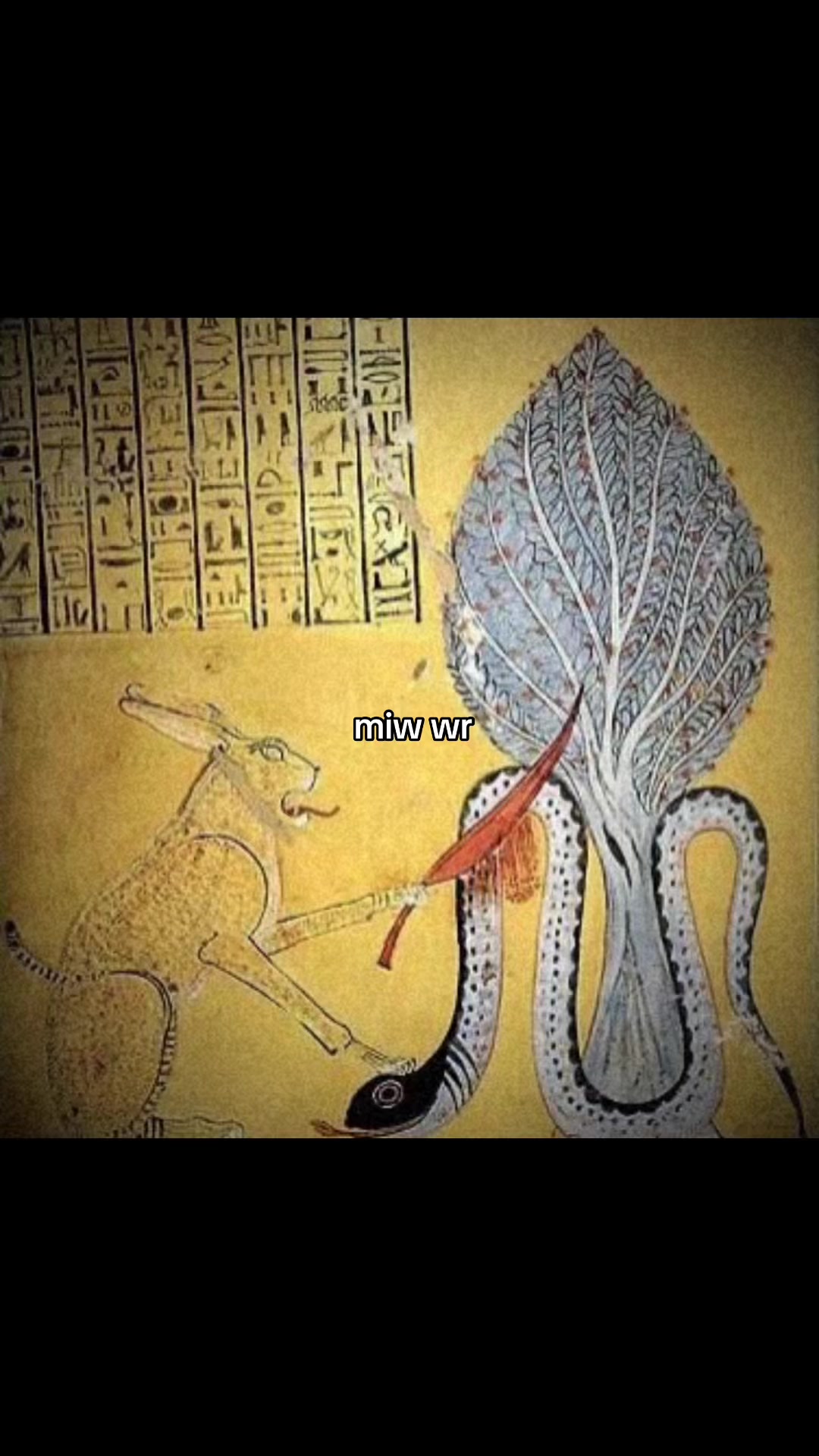 @Ancient Egypt
